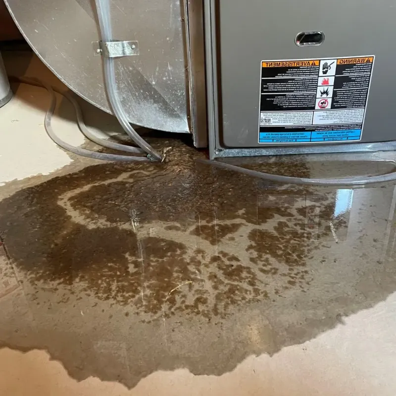 Pipe Burst and Leak Restoration in Mechanicsville, VA