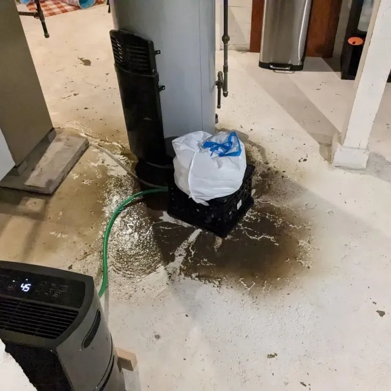 Sewage Backup Cleanup Service in Mechanicsville, VA